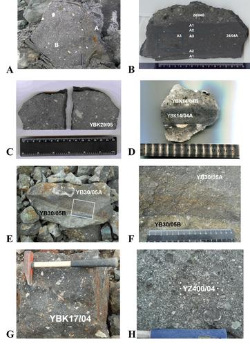 Udachnaya-East金伯利岩样品照片