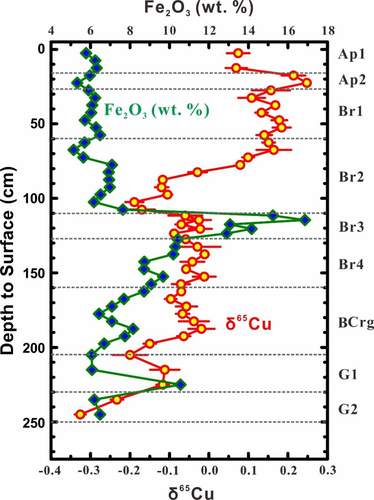 图3  苏州水稻土Fe2O3含量和δ65Cu值
