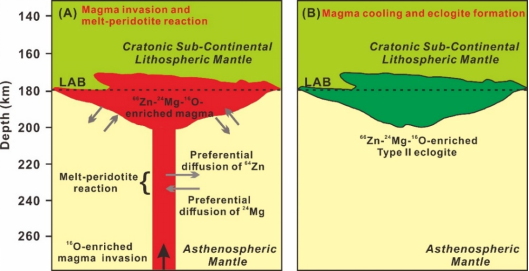 图2. 南非Kaapvaal克拉通Roberts Victor榴辉岩成因模式图和熔体-橄榄岩反应引发的Zn-Mg同位素动力学分馏示意图