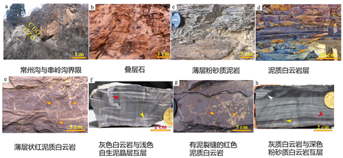 古太古代 (3.6-3.2Ga) 与成铁纪 (2.5-2.3Ga) 地球演化——余博文-组会讨论-金属稳定同位素实验室